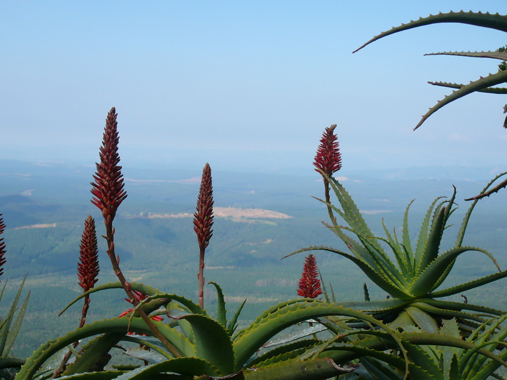 The-view-from-God's Window