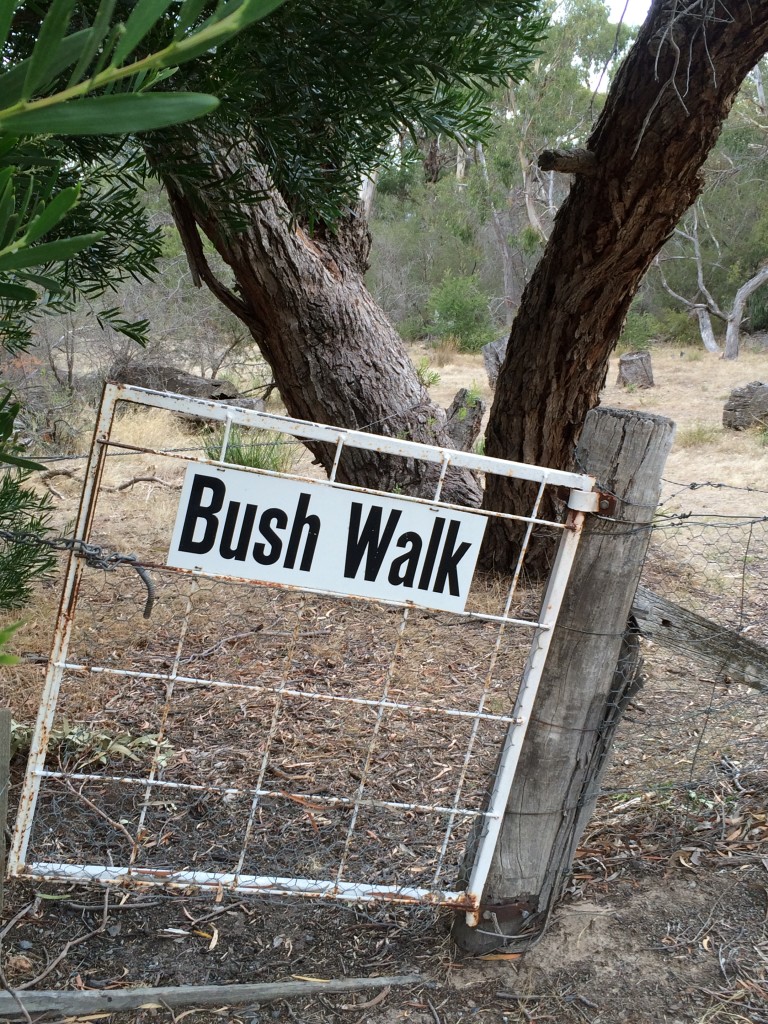 The bush walk Halls Haven Resort, the Grampians, Victoria