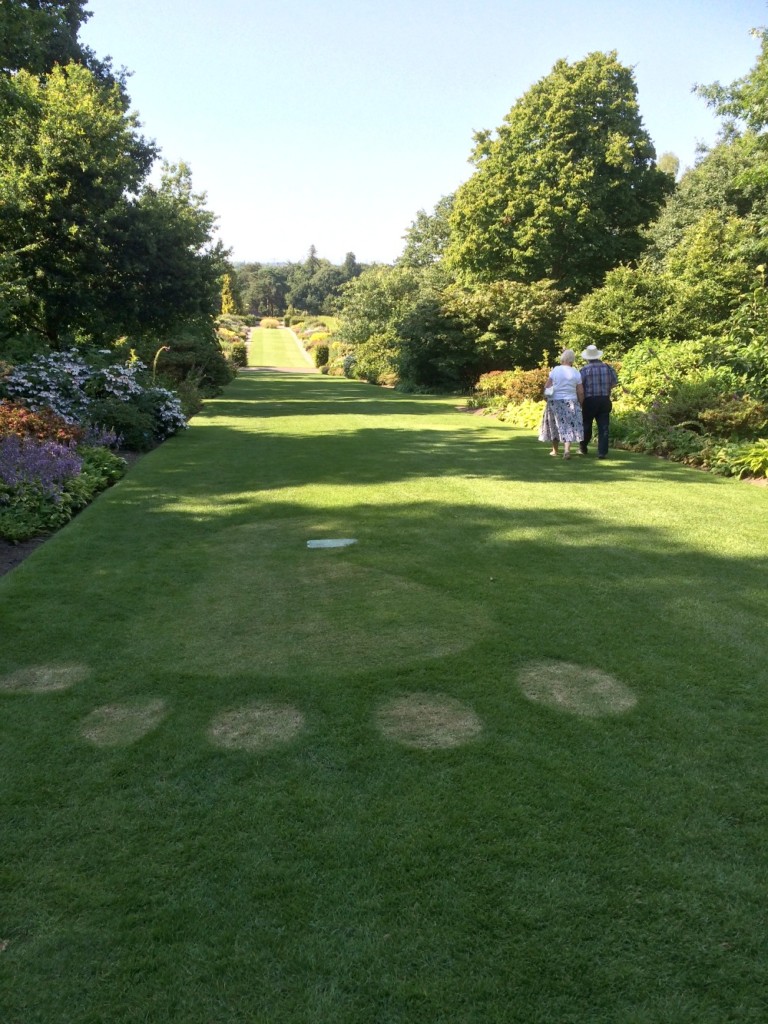 Big foot in the Mixed Borders