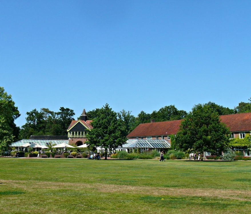 The green expanse of Wisley with restaurants in the background.