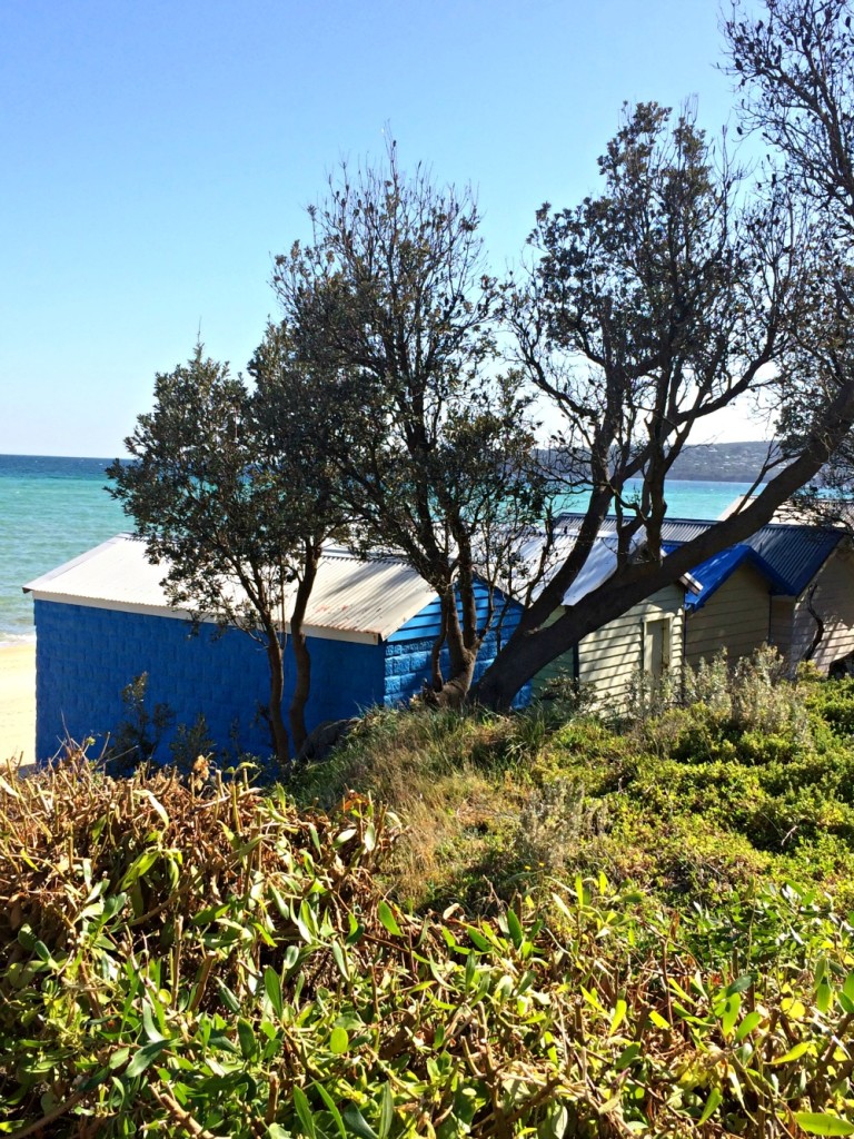 The views from the Dromana foreshore walk