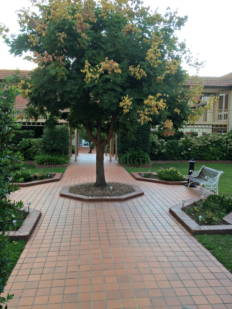 The courtyard at Mercure Canberra