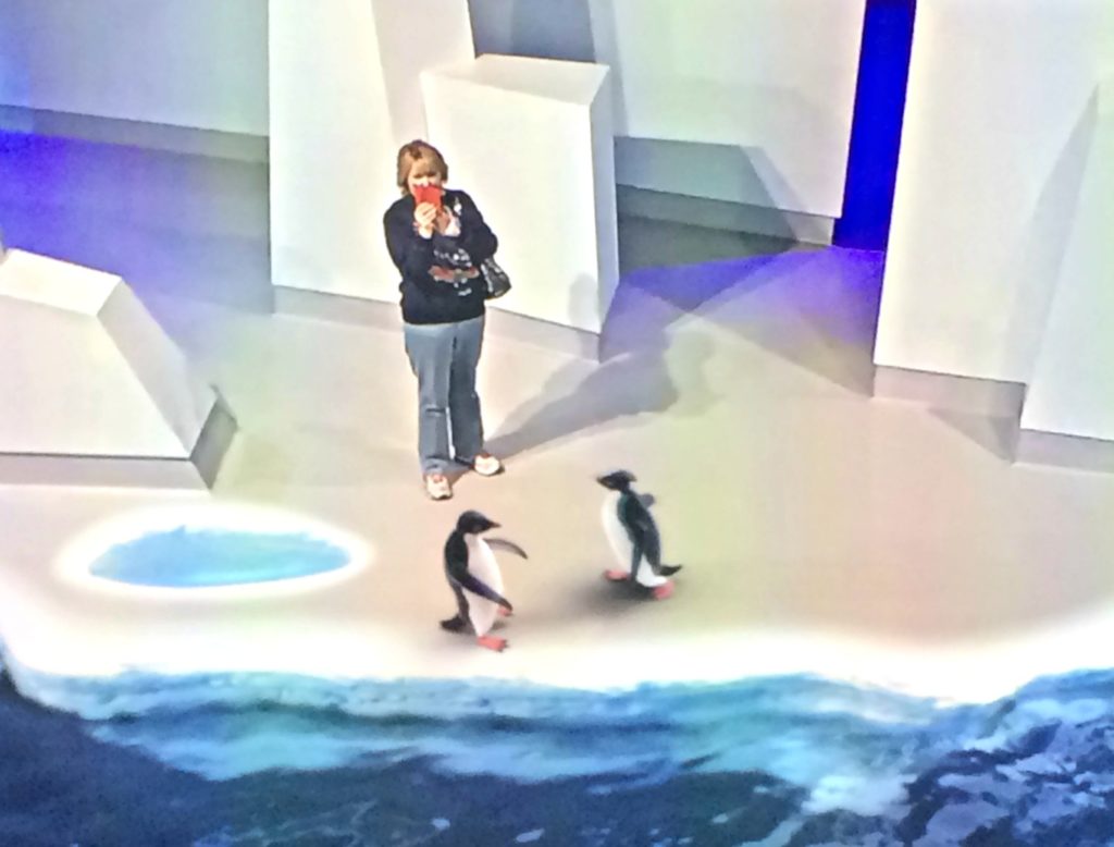 My `non existent' penguin friends!