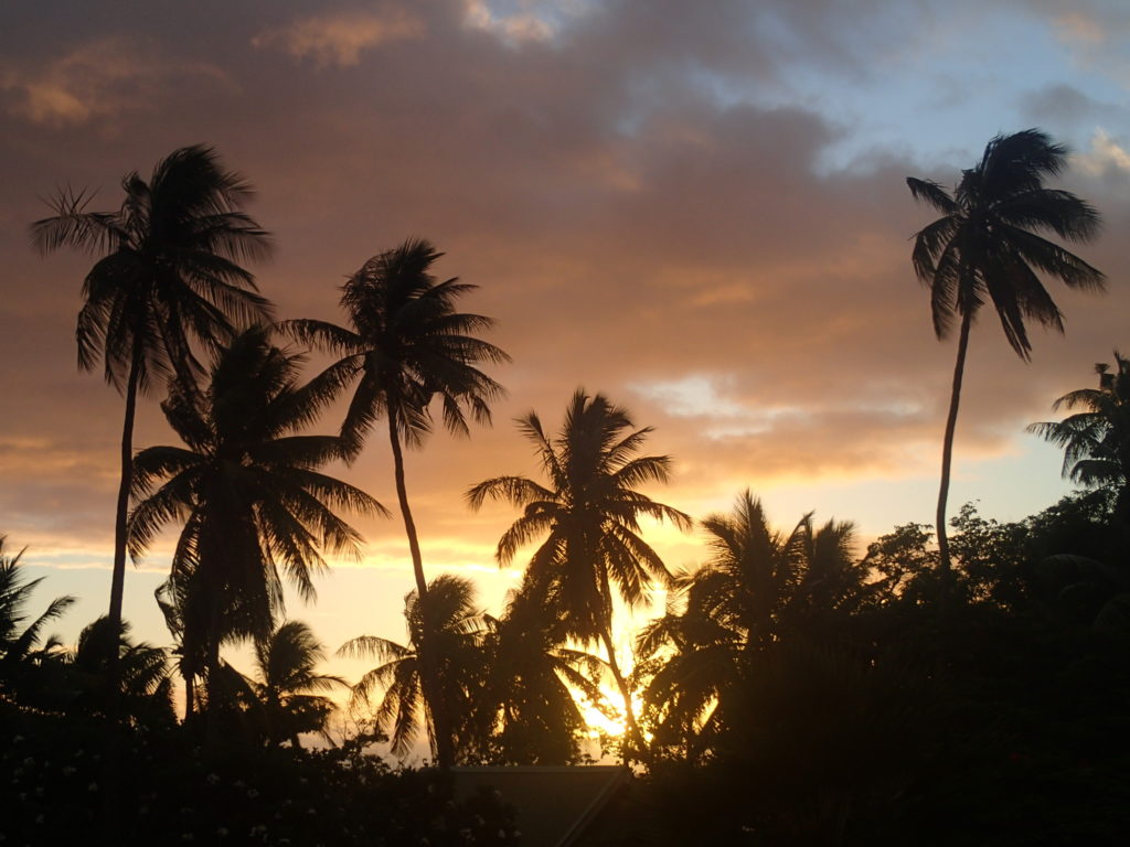 One of the views from the Fiji fishing village we visited.