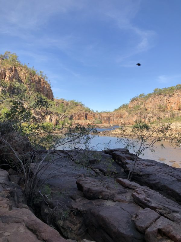 A cruise on Katherine (Nitmiluk) Gorge is the highlight of AAT Kings' Katherine Gorge and Edith Falls tour.