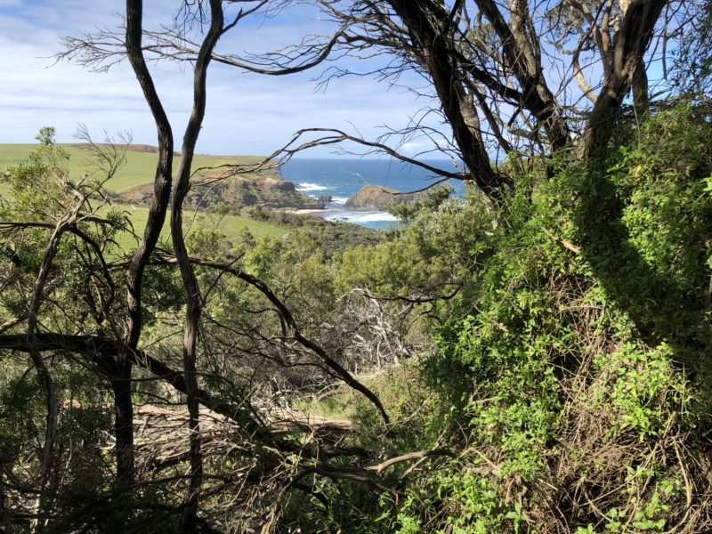 Scenery close to the resort.