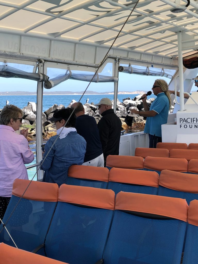 Passengers on Moonraker Dolphin Swim’s 90 minute Adventure Cruise.