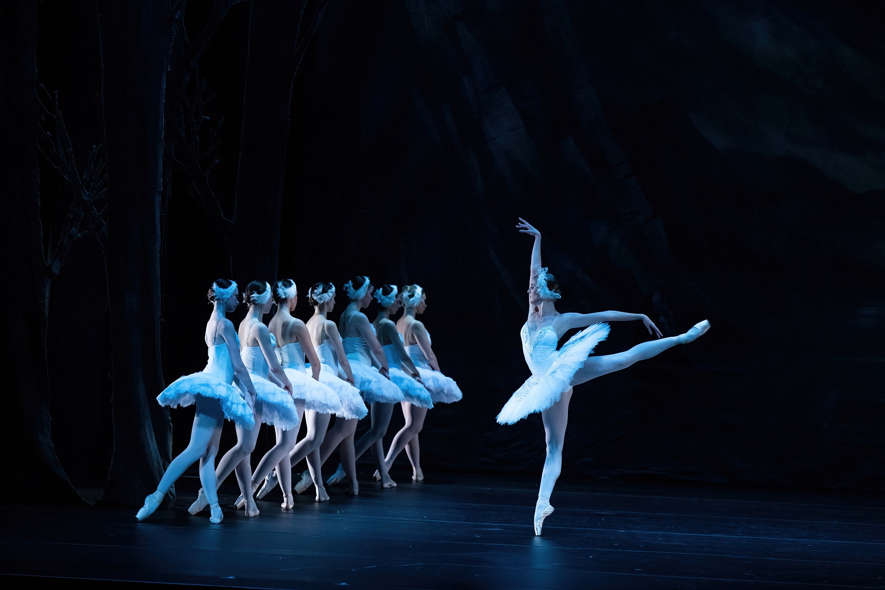 On Stage The United Ukrainian Ballet Swan Lake Travels With Jb