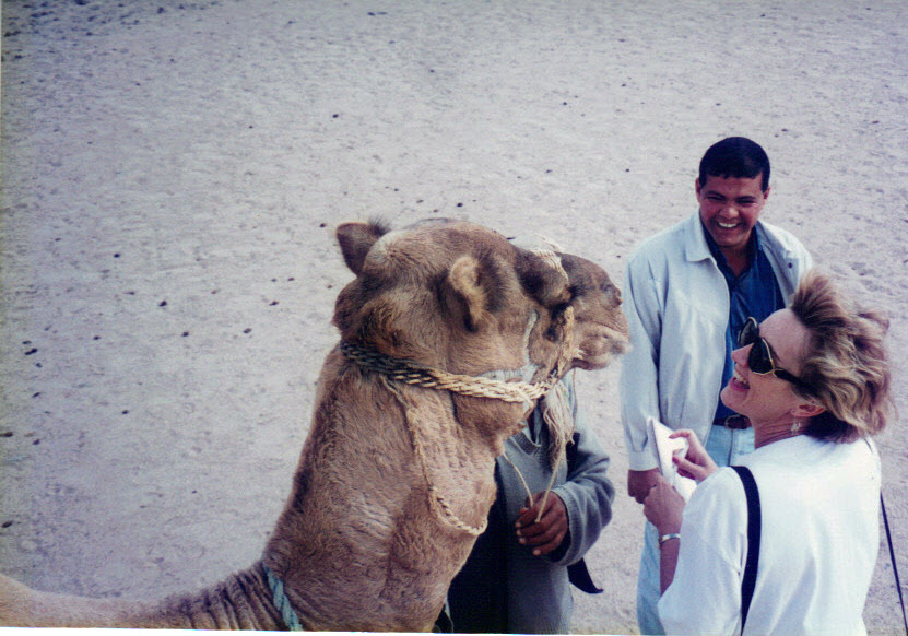 Over the years I have interviewed a number of travel experts including this camel in Egypt!