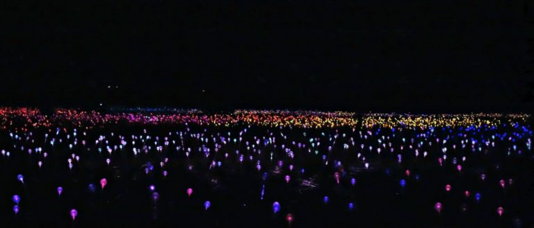 Bruce Munro's Field of Light
